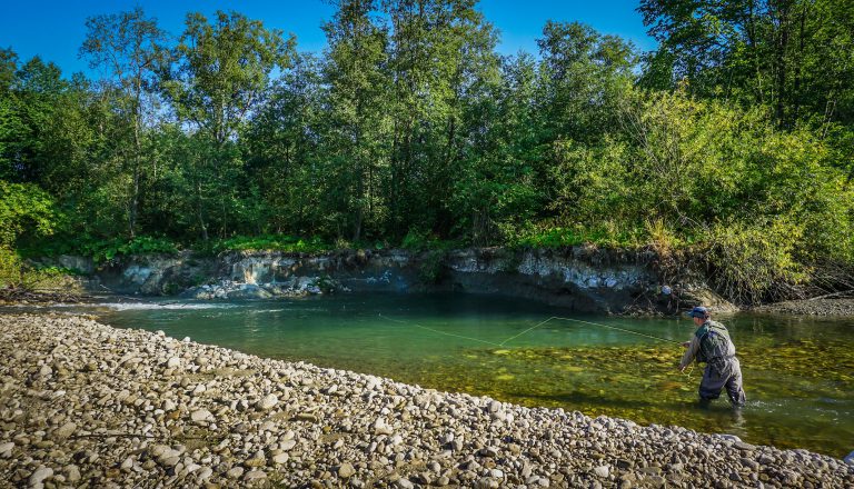 Czarny Dunajec